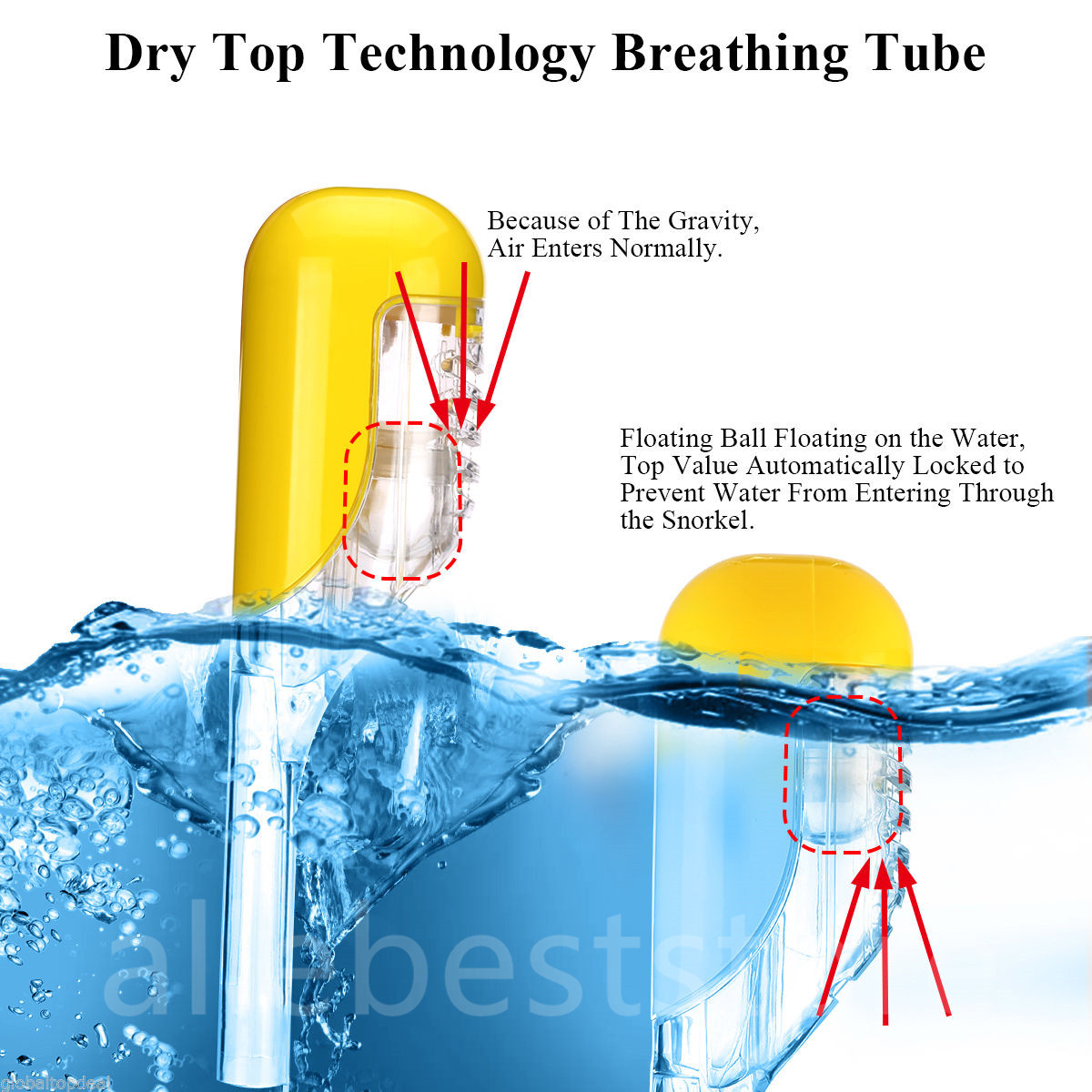 Masques de Plongée 180° Plein Visage Anti-Buée et Antifuite