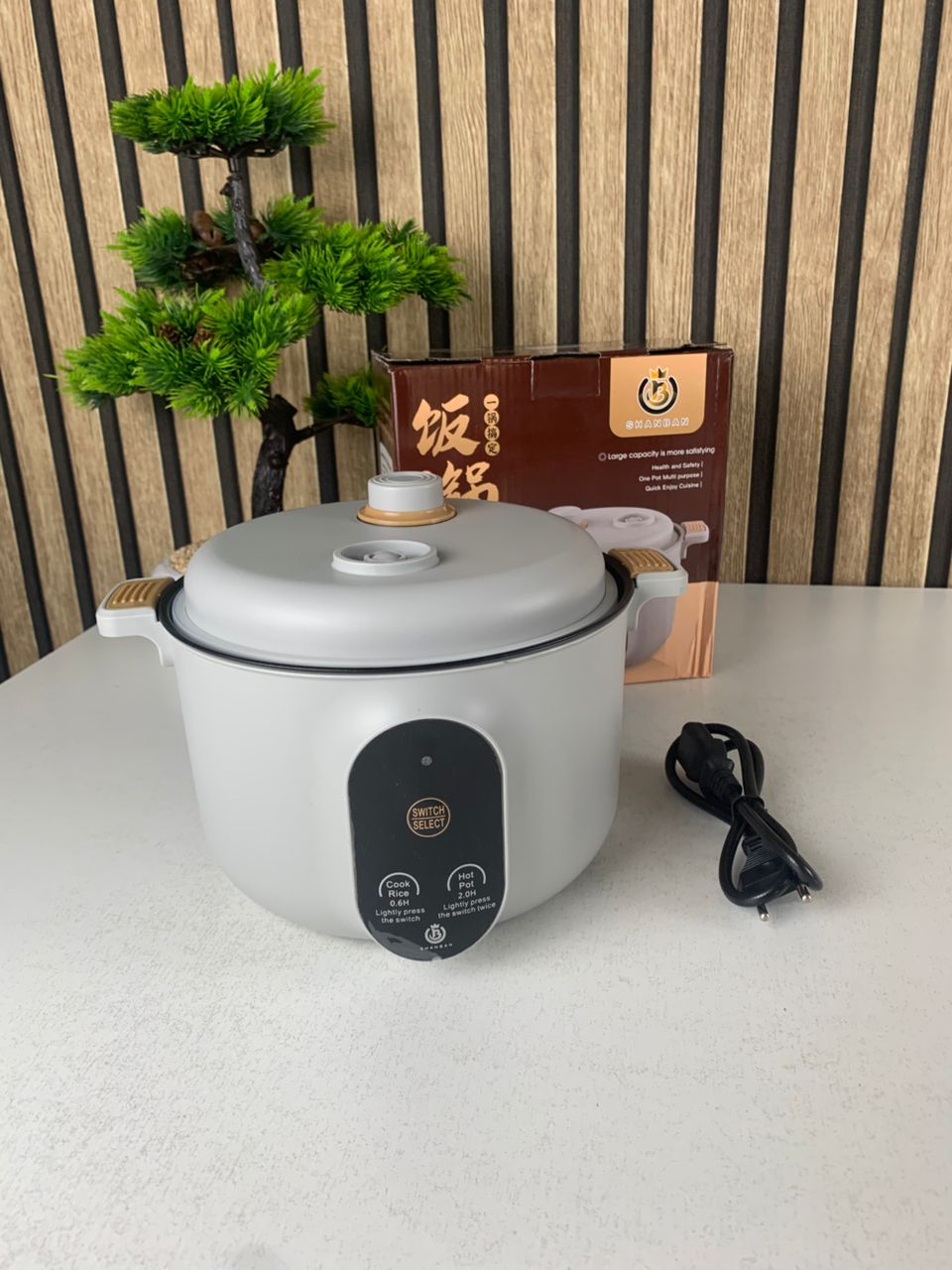 Multifunctional electric cooker 20 cm