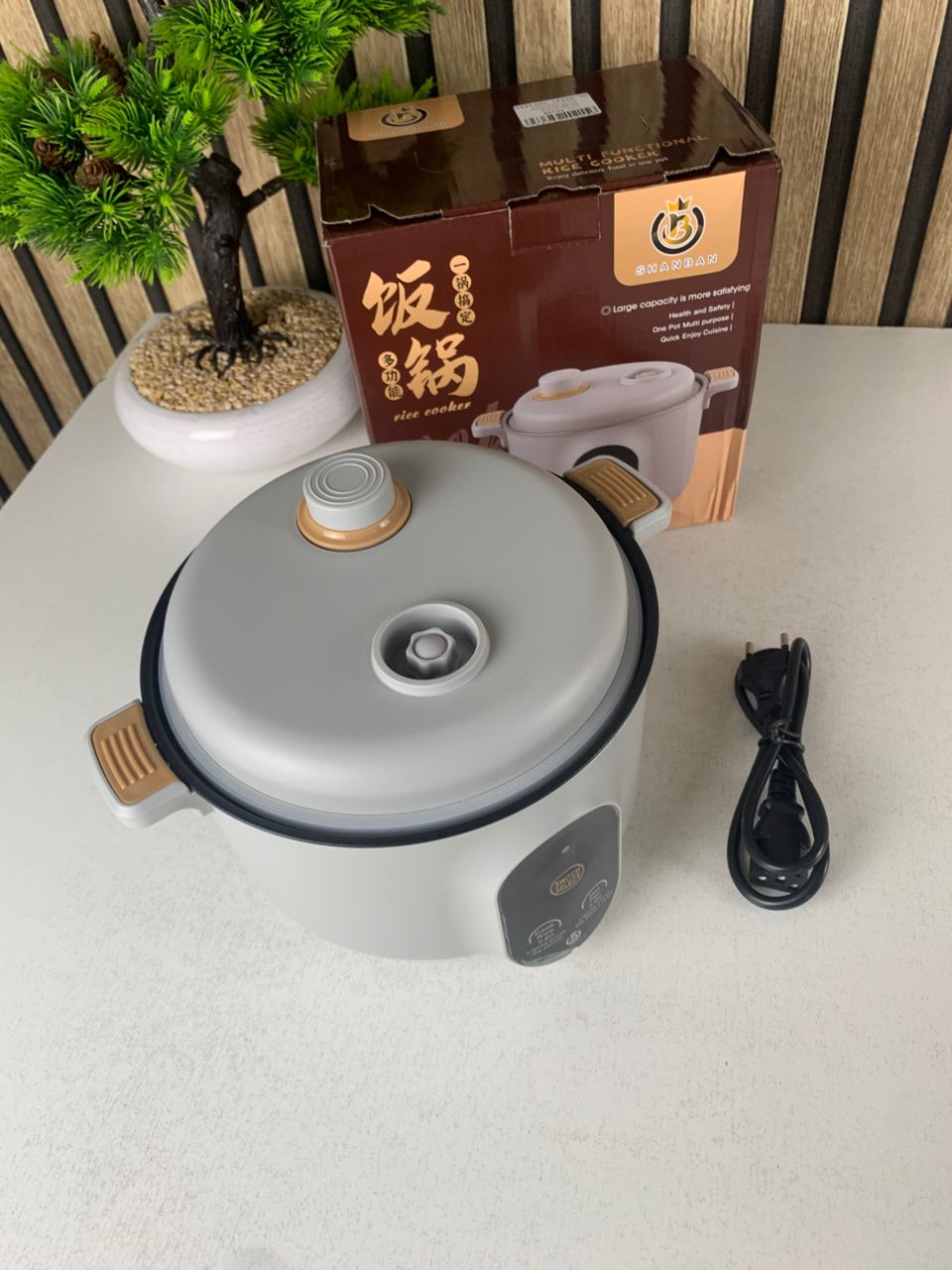Multifunctional electric cooker 20 cm