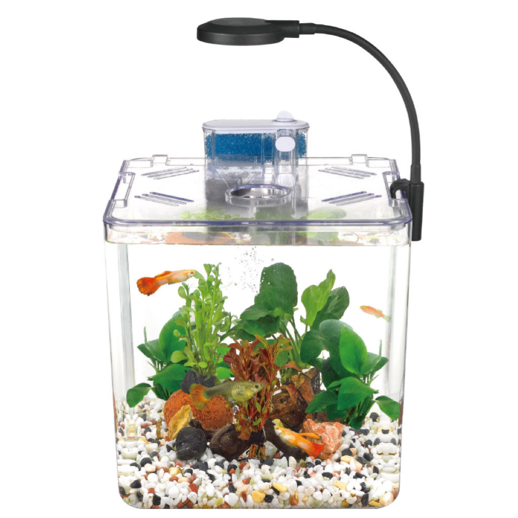 Mini aquarium Nanbor avec système de filtration et lampe LED