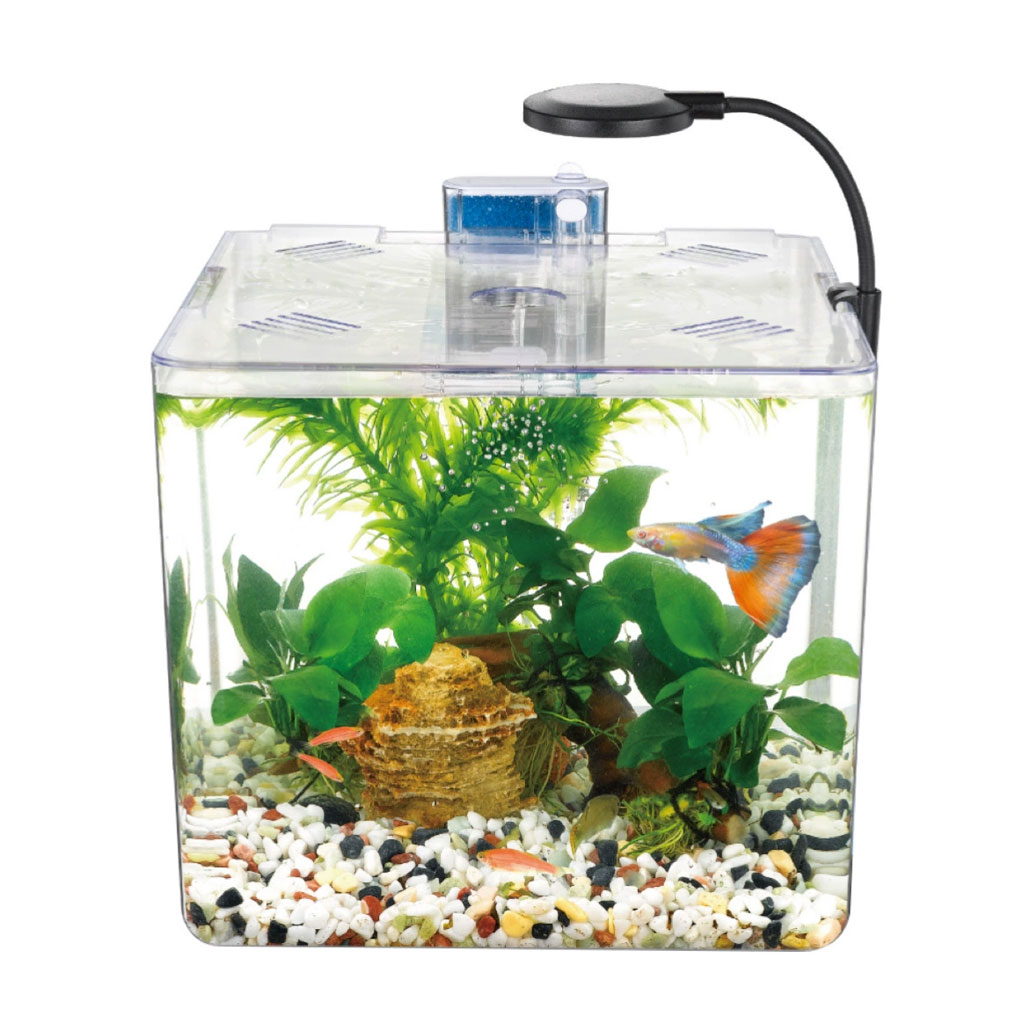 Mini aquarium Nanbor avec système de filtration et lampe LED