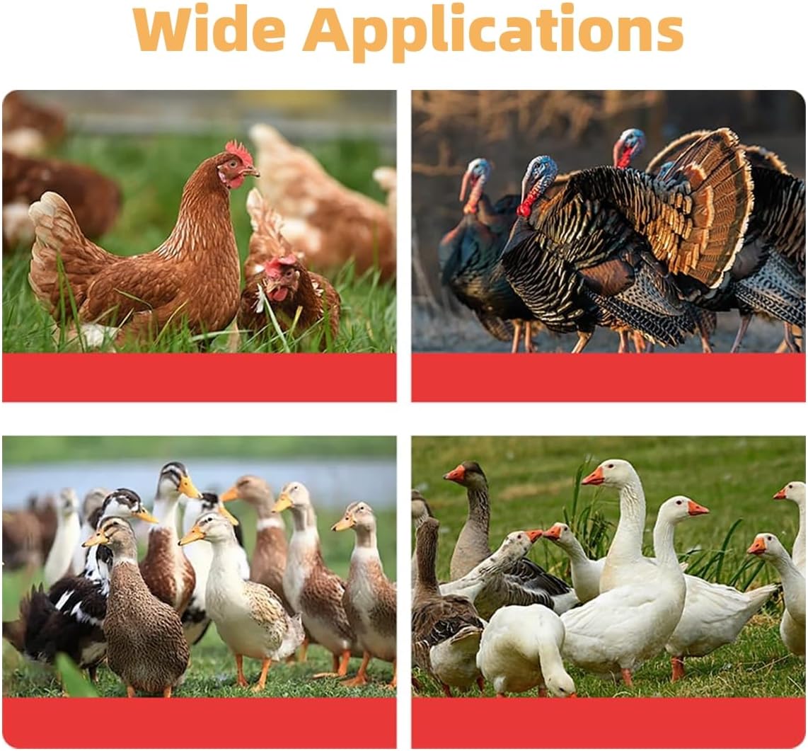 Portable electric poultry plucker