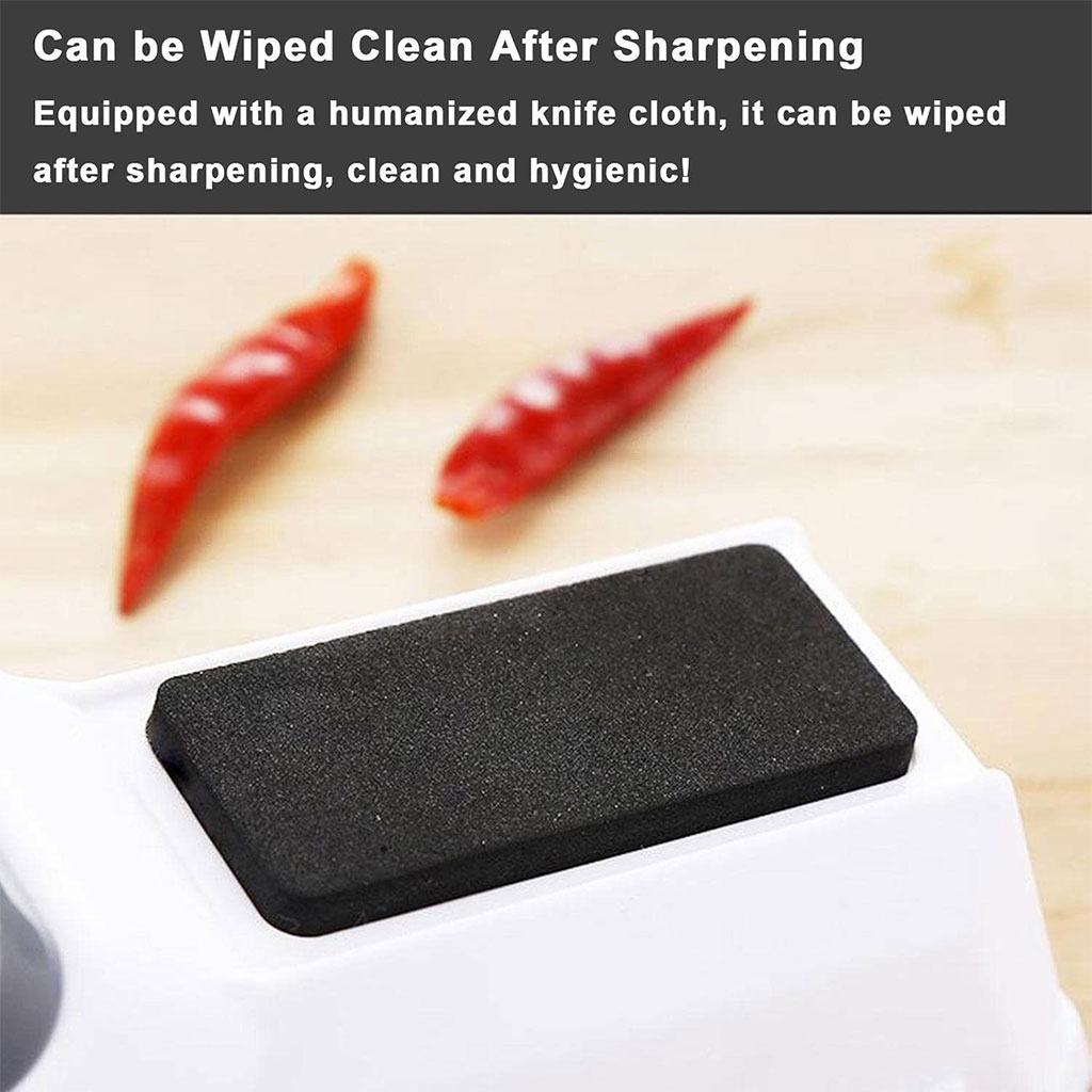 Portable electric poultry plucker