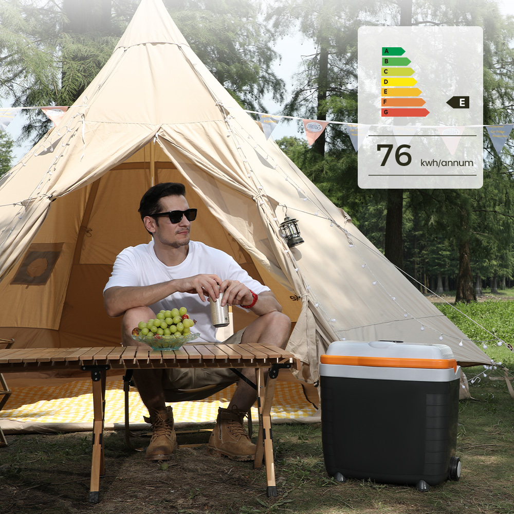 Portable thermoelectric cooler and warmer 28L with wheels